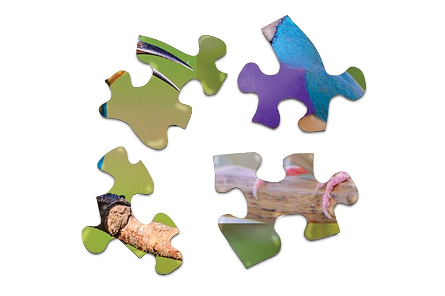 Amazon.com: Springbok's 500 Piece Jigsaw Puzzle Birds of